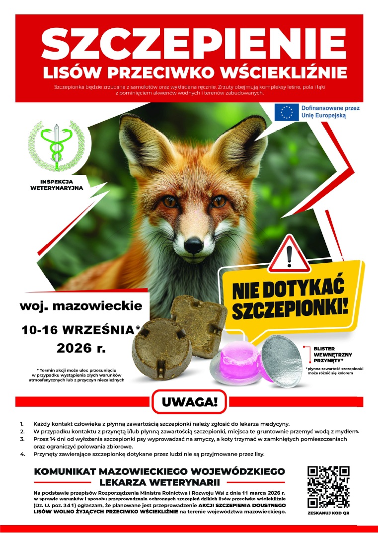 Szczepienie lisów przeciwko wściekliźnie. Grafika przedstawia plakat informujący o szczepieniu lisów przeciwko wściekliźnie